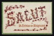 ouvrir dans la visionneuse : Légende inscrite sur la carte postale : SALUT DE St-Trivier-s-Moignans