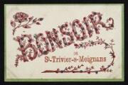 ouvrir dans la visionneuse : Légende inscrite sur la carte postale : BONSOIR DE St-Trivier-s-Moignans