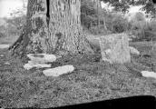 Blocs de pierre gravés au pied du chêne d'Orgent