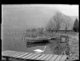 Cygne sur le lac de Nantua