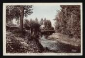 1 vue Légende inscrite sur la carte postale : ST DIDIER-sur-CHALARONNE (Ain) - La Passerelle 5 Fi 348-42