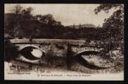 1 vue Légende inscrite sur la carte postale : Vieux Pont de Bognens 5 Fi 9-8