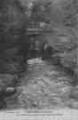 1 vue Légende inscrite sur la carte postale : La Divonne sous bois dans le parc 5 Fi 143-159