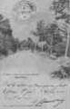 1 vue Légende inscrite sur la carte postale : Mont-Turet 5 Fi 173-192
