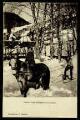 1 vue Légende inscrite sur la carte postale : Chalet d Arvières sous la neige 5 Fi 218-3