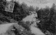 1 vue Légende inscrite sur la carte postale : Forêt de Meyriat. - Route de Brénod - Embranchement de Chevillard 5 Fi 441-13