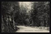 1 vue Légende inscrite sur la carte postale : Forêt de Meyriat. - Route de Brénod 5 Fi 441-17