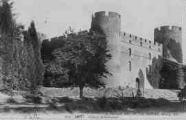 1 vue Légende inscrite sur la carte postale : Château de Richemont 5 Fi 449-14