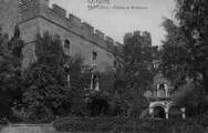 1 vue Légende inscrite sur la carte postale : Château de Richemont 5 Fi 449-17